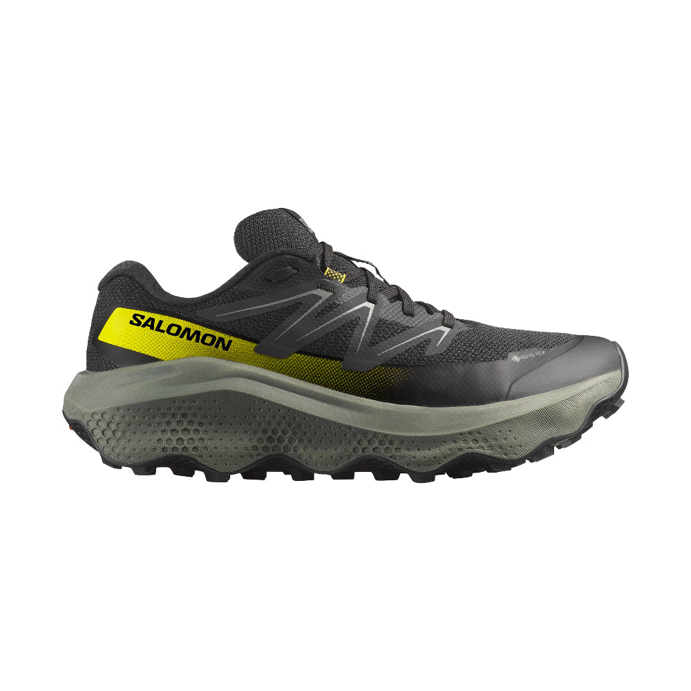 Salomon ULTRA FLOW 2 GORE-TEX - Men