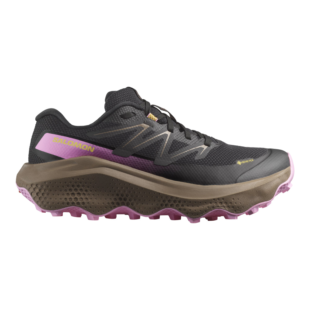 salomon-ULTRA FLOW 2 GORE-TEX Women-野跑鞋